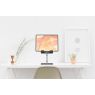 Heckler iPad Desk Stand H620